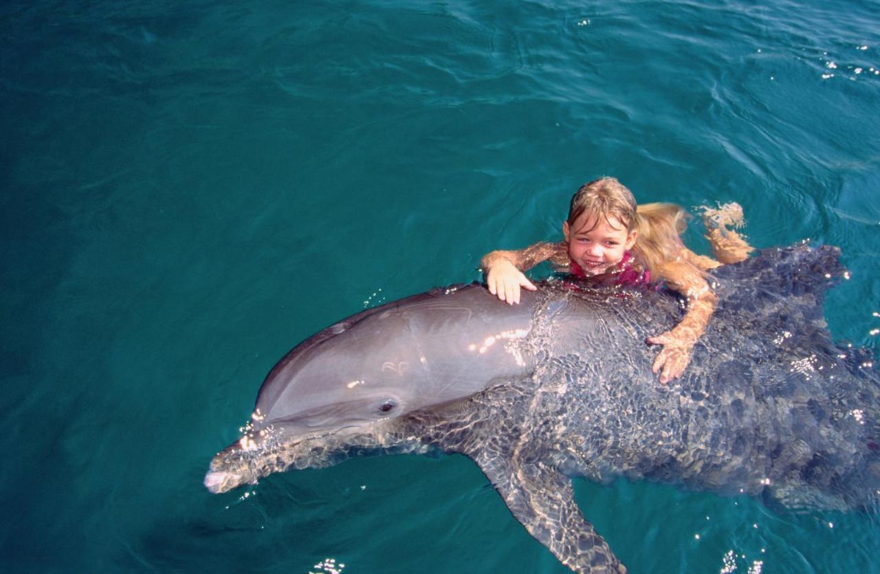 Vert Hotel Eilat By Afi Hotels Eksteriør billede Dolphin and girl